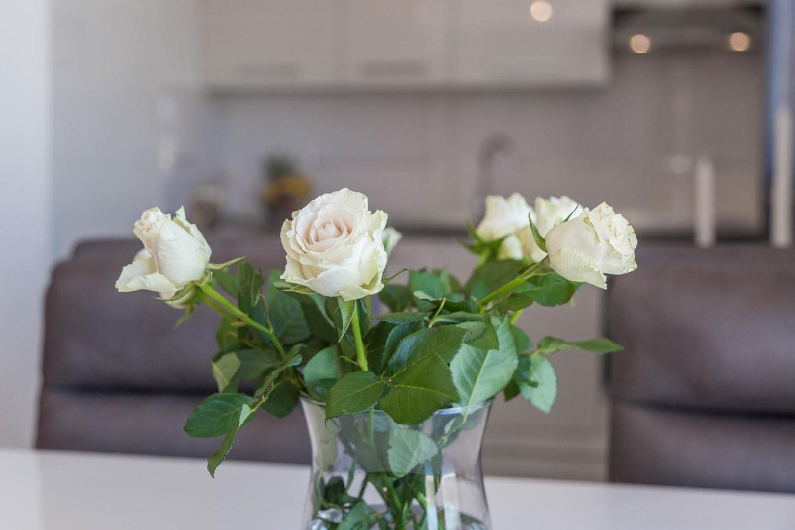 Luxury Three Bedrooms Silver Near Apartment